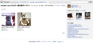 Picasaウェブアルバムで『日めくり猫らアルバム』始めました。1