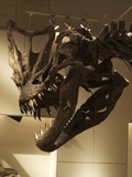 科学博物館恐竜3