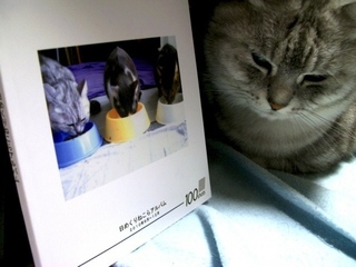 カメラのキタムラで100ページ猫らフォトブック作ったぞー1