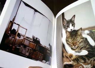 カメラのキタムラで100ページ猫らフォトブック作ったぞー4