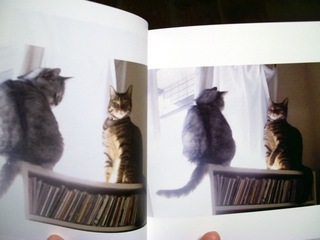 カメラのキタムラで100ページ猫らフォトブック作ったぞー5