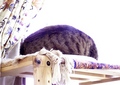 necobitter『日めくり猫ら』まとめ 2011年4月分agfa830s7