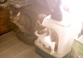 necobitter『日めくり猫ら』まとめ 2011年6月分polaroid_a520_6
