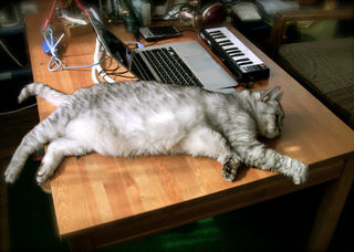 猫がパソコンに乗らず、飼い主はもふもふできる机。2