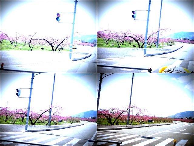iPod touch『走り撮り！やまなし桃花見2012 その２』-3.JPG