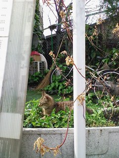 20070420.jpg
