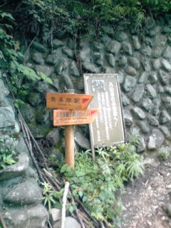 稲村岩から鷹ノ巣山11