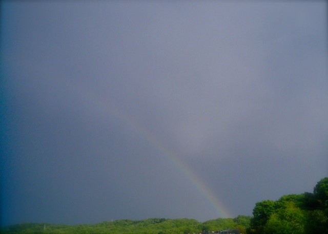 Polaroida520_rainbow-2.jpg