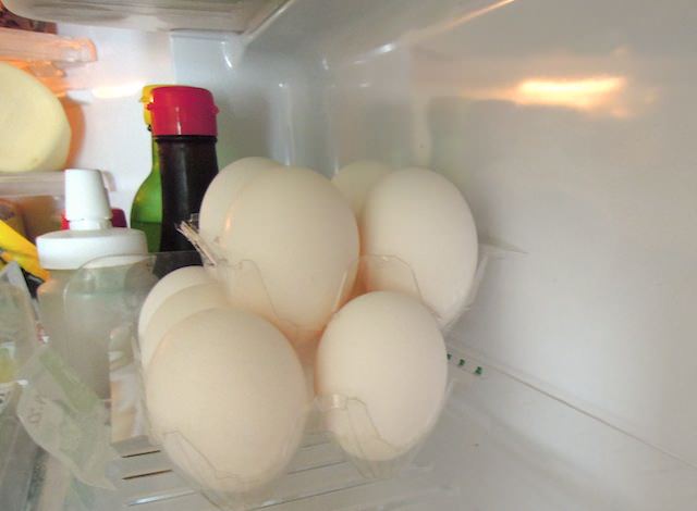 egg_refrigerator-10.jpg