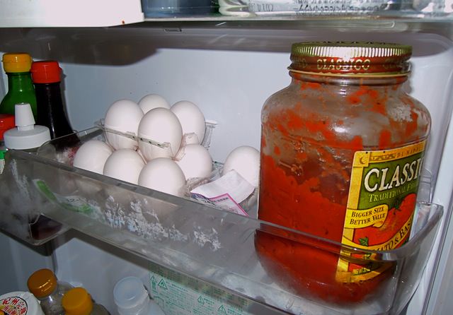 egg_refrigerator-11.jpg