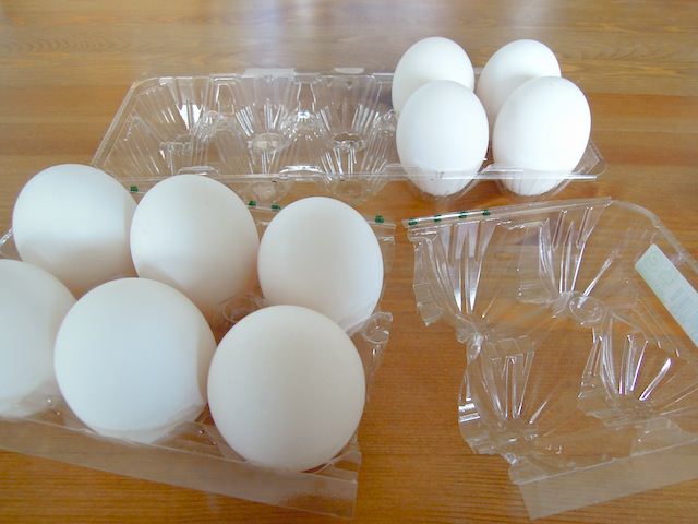 egg_refrigerator-5.jpg