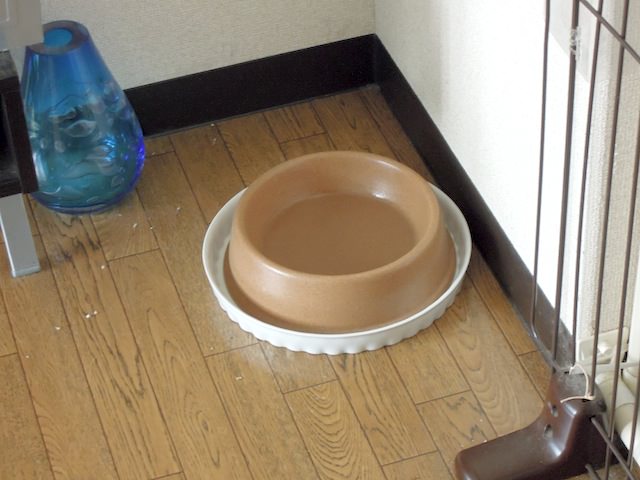 SMARTA_cat_water_bowl_saucer-3.jpg