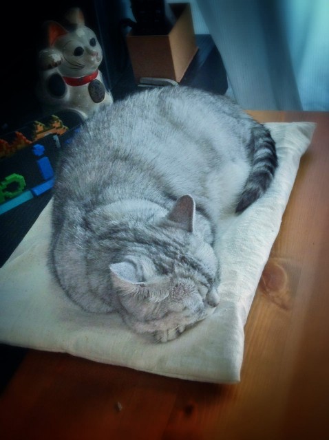 DIY_No Zipper Cushion Cover for Cats-11.jpg