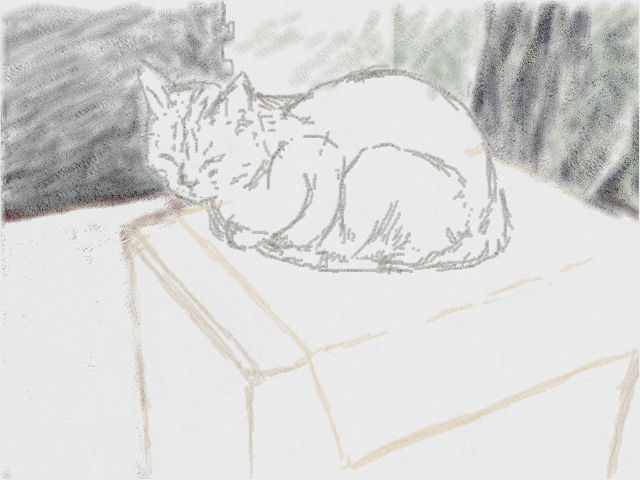 Nintendo 3DS LL_Cat Sketch_20130805.jpg