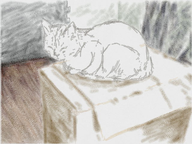 Nintendo 3DS LL_Cat Sketch_20130808.jpg
