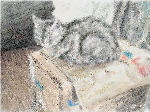 Nintendo 3DS LL_Cat Sketch_20130815.jpg