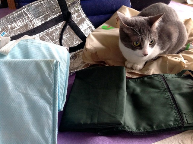 iPad_cats love textiles-21.jpg