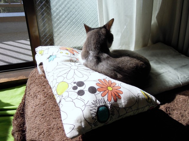 Quick Change Cat Bed for Winter-8.jpg