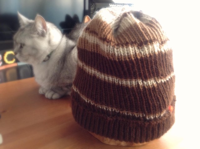 circular needle knitting_hat-24.jpg