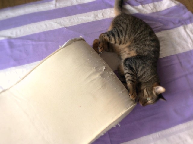 Piping Cat Bedspread-21.jpg