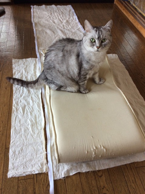 Piping Cat Bedspread-8.jpg