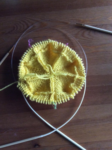 Stjarna Circular knitting needles-8.jpg