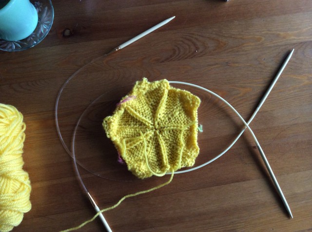 Stjarna Circular knitting needles-9.jpg