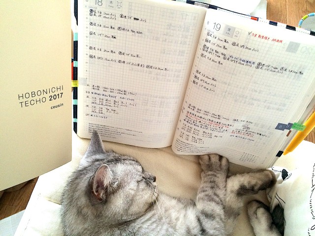cat-health-care_hobonichi-techo-03.jpg