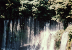 babysem,白糸の滝