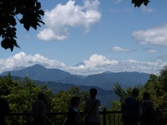 真夏の高尾山その３。