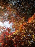img039.jpg
