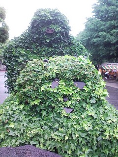 img338.jpg