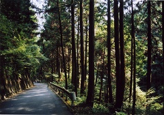 OM-1,陣馬山