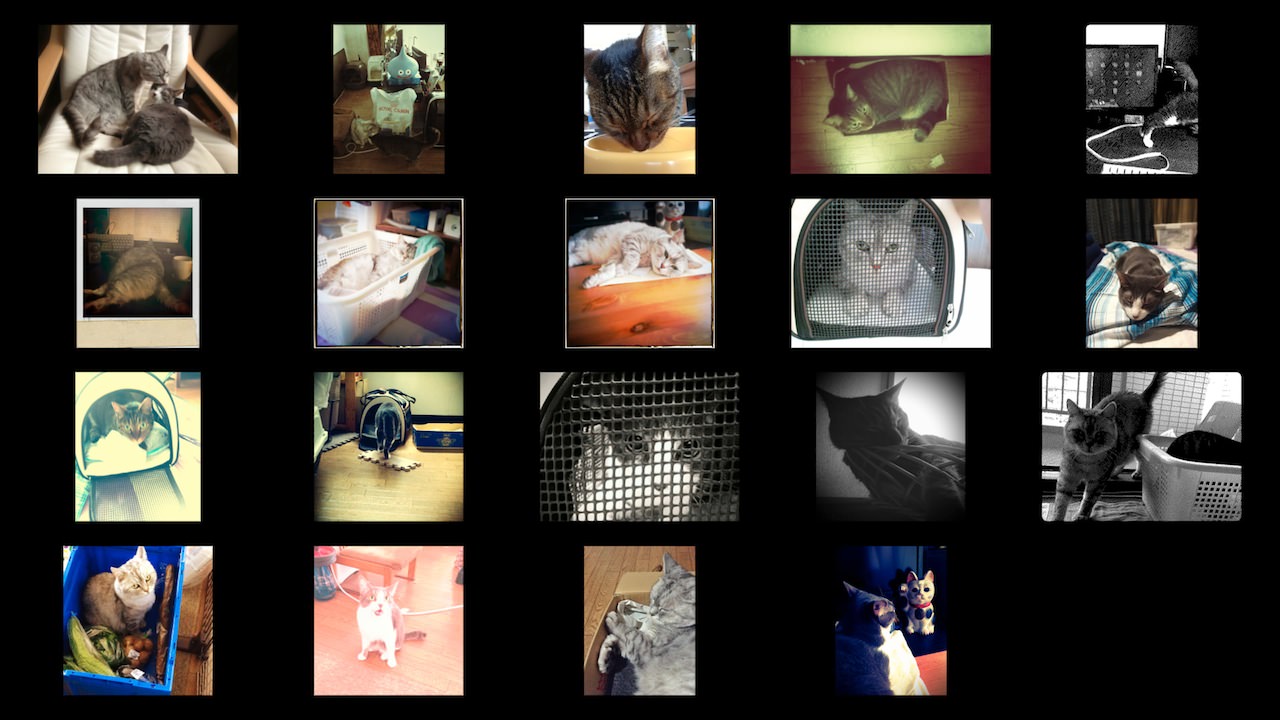 Cat Photo Album_201307.jpg