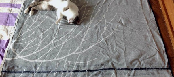 iPad_cats love textiles-35.jpg