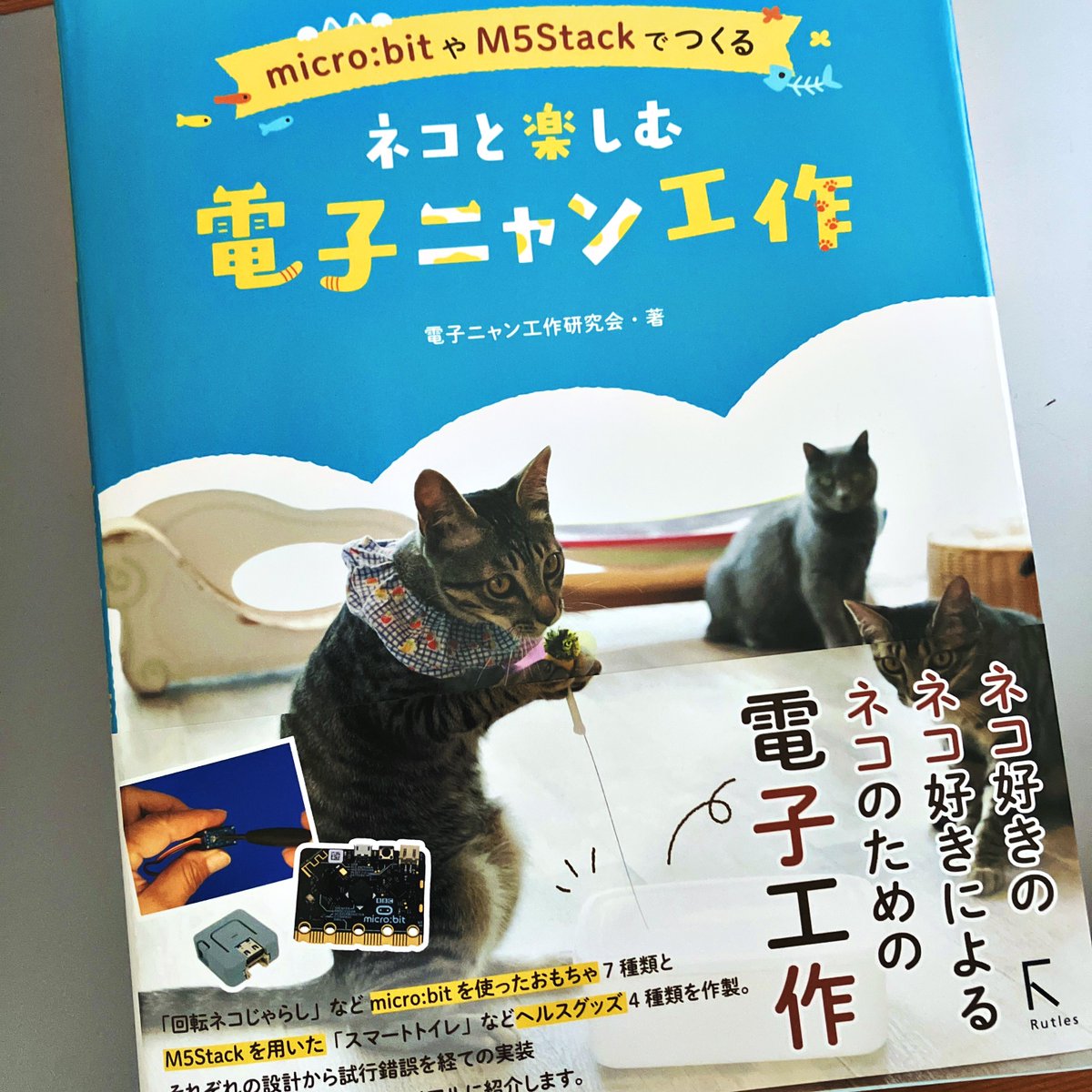 「micro:bitやM5Stackでつくる　ネコと楽しむ　電子ニャン工作」本に寄稿しました